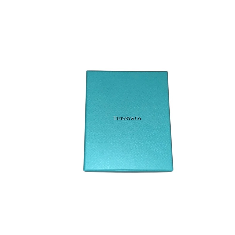 TIFFANY & CO. Turquoise Gift Box